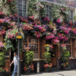 IMG_20190705_074429.jpg